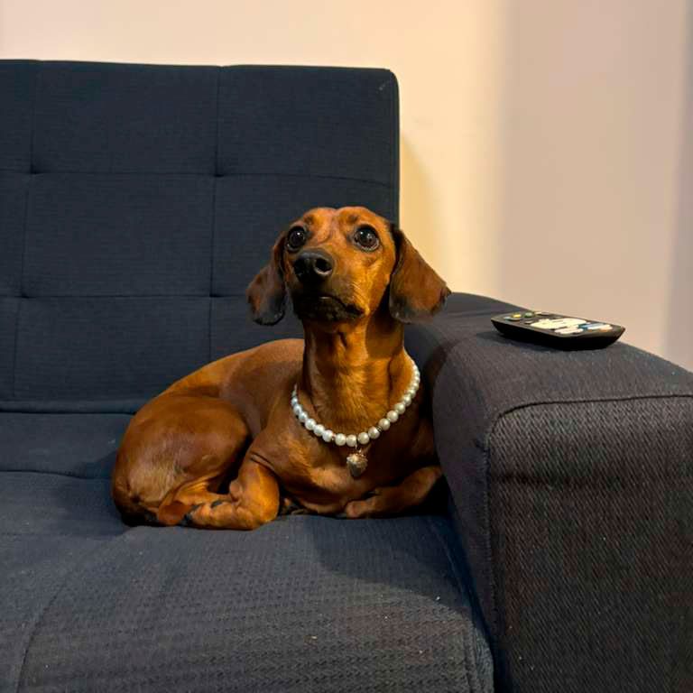 Foto de Biggie